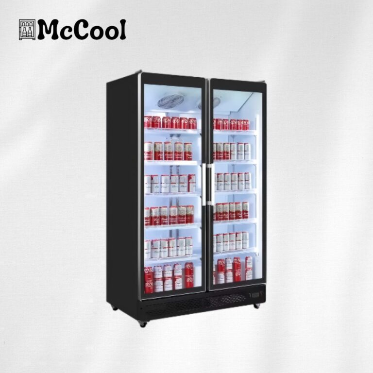 Commercial fridges curve full glass beverage fridge 2 doors